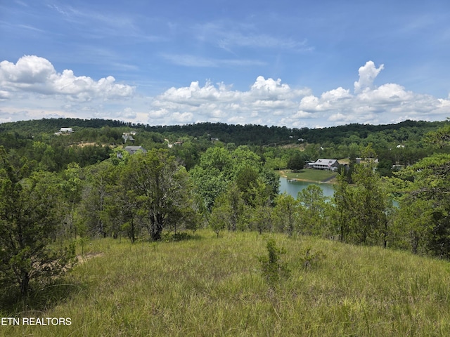 1034 Sierra Way, Sevierville, TN 37876 - photo 11