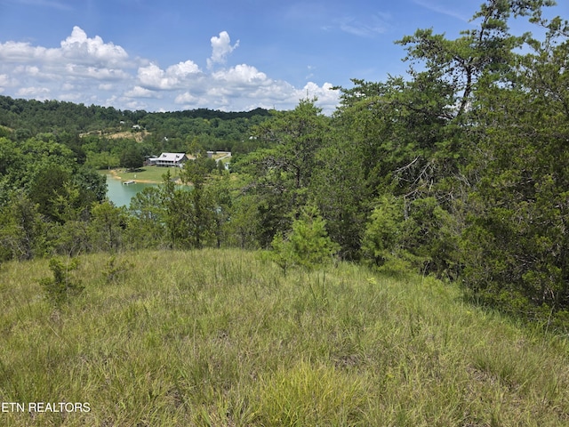 1034 Sierra Way, Sevierville, TN 37876 - photo 12
