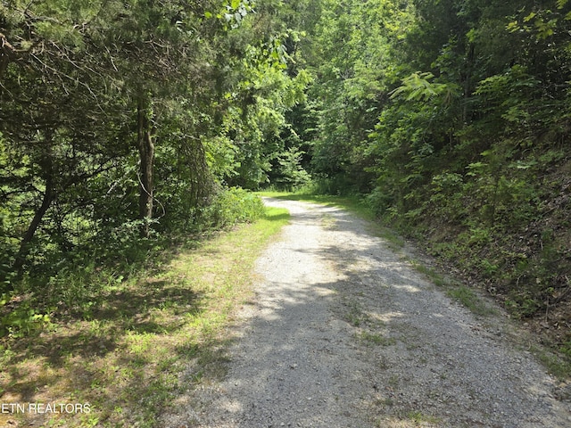 1034 Sierra Way, Sevierville, TN 37876 - photo 13