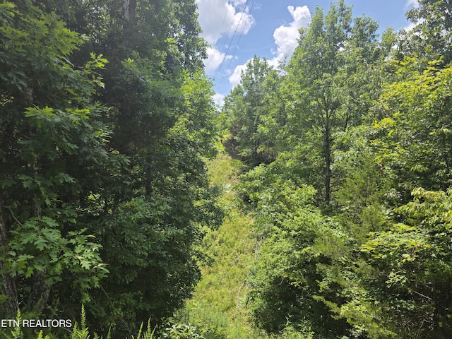 1034 Sierra Way, Sevierville, TN 37876 - photo 14