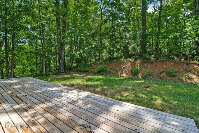 428-A Tedder St, Rockwood, TN 37854 - photo 12