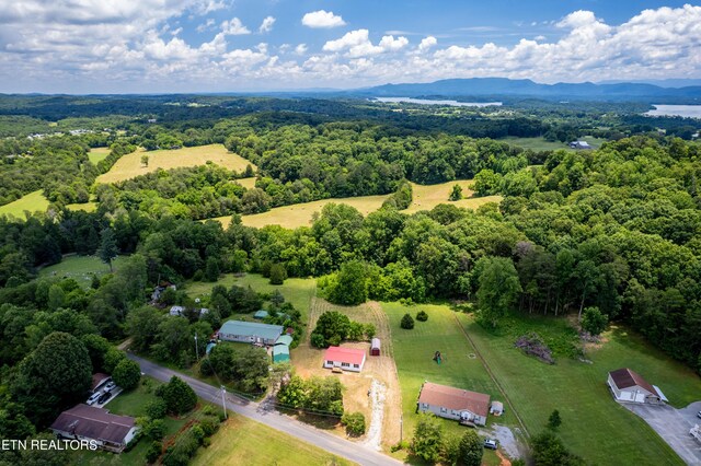 1768 Fain Cemetery Rd, Dandridge, TN 37725 - aerial view of a forest and a mountain backdrop