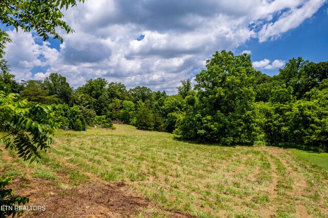 1768 Fain Cemetery Rd, Dandridge, TN 37725 - view of yard