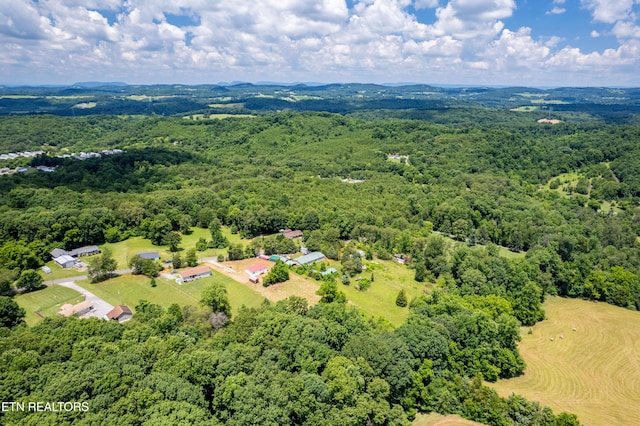 1768 Fain Cemetery Rd, Dandridge, TN 37725 - aerial view of a heavily wooded area