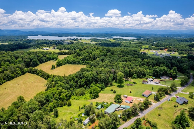 1768 Fain Cemetery Rd, Dandridge, TN 37725 - view of rural area with a water and mountain view
