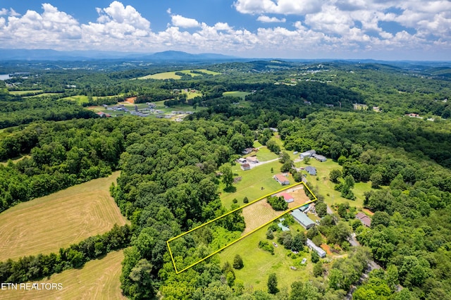 1768 Fain Cemetery Rd, Dandridge, TN 37725 - aerial overview of property's location featuring property parcel outlined and a forest