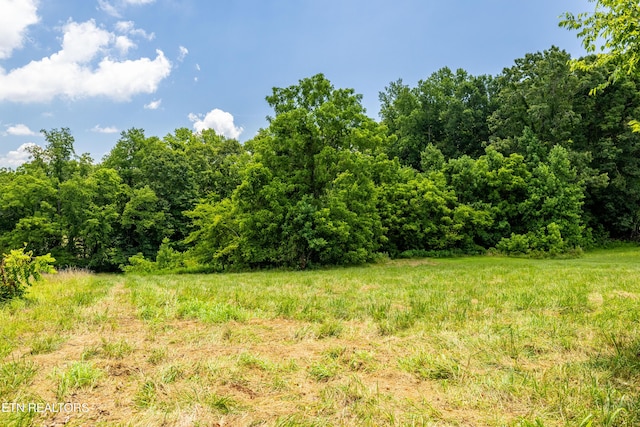 1768 Fain Cemetery Rd, Dandridge, TN 37725 - view of woods