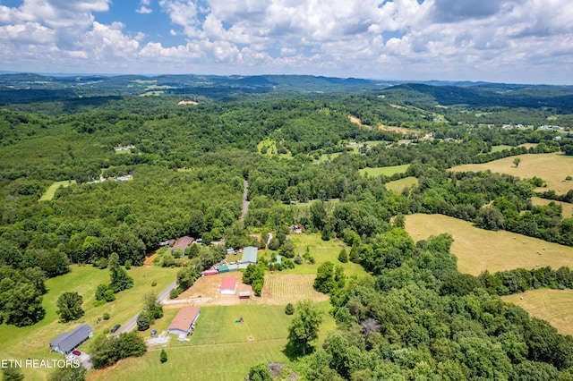 1768 Fain Cemetery Rd, Dandridge, TN 37725 - bird's eye view of a heavily wooded area