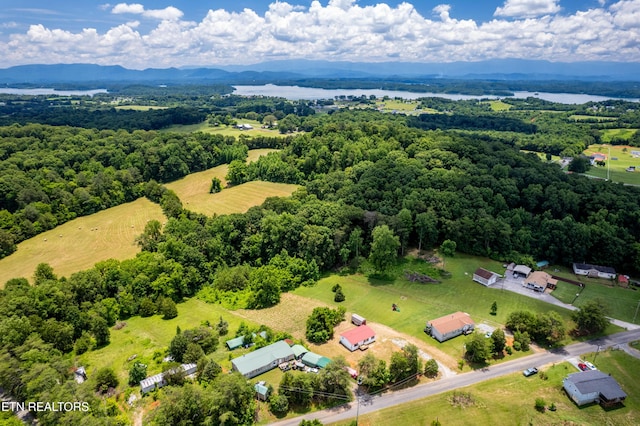 1768 Fain Cemetery Rd, Dandridge, TN 37725 - bird's eye view of a water and mountain view