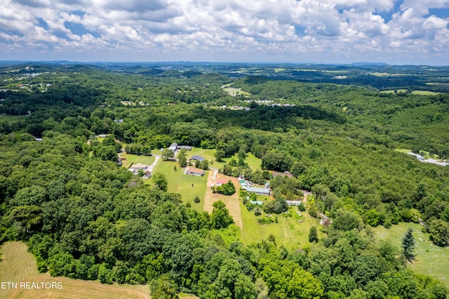 1768 Fain Cemetery Rd, Dandridge, TN 37725 - aerial view of a forest