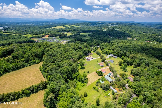 1768 Fain Cemetery Rd, Dandridge, TN 37725 - aerial view of a forest