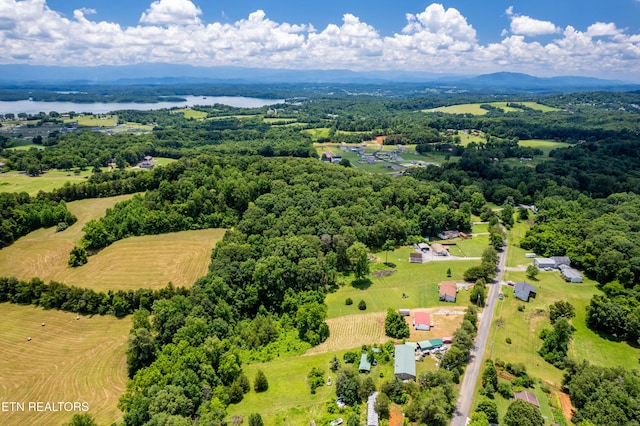 1768 Fain Cemetery Rd, Dandridge, TN 37725 - bird's eye view of a nearby body of water