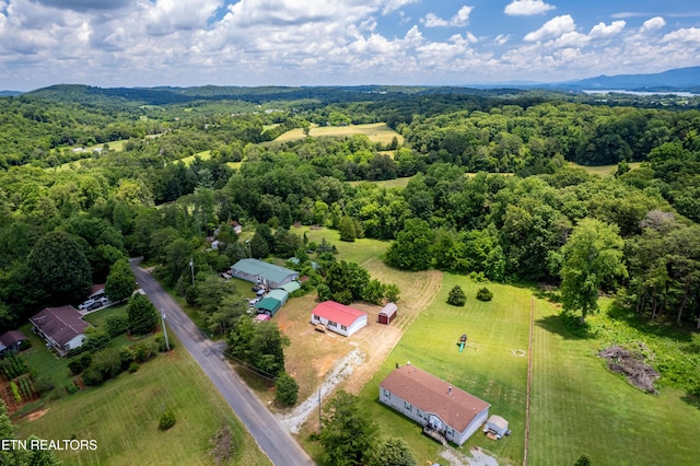 1768 Fain Cemetery Rd, Dandridge, TN 37725 - bird's eye view of a heavily wooded area