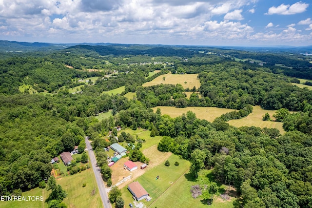 1768 Fain Cemetery Rd, Dandridge, TN 37725 - drone / aerial view of a forest