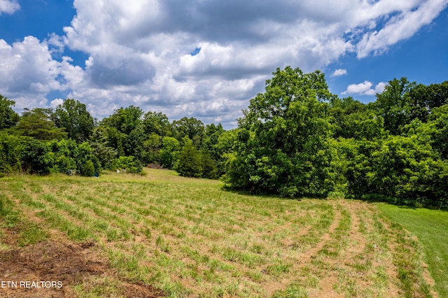 1768 Fain Cemetery Rd, Dandridge, TN 37725 - view of yard featuring a view of rural / pastoral area