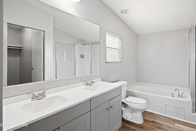 1768 Fain Cemetery Rd, Dandridge, TN 37725 - full bath featuring lofted ceiling, a garden tub, wood finished floors, double vanity, and a shower