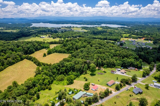 1768 Fain Cemetery Rd, Dandridge, TN 37725 - drone / aerial view of a nearby body of water