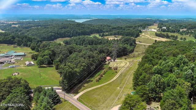 8048 Fairview Rd, Lenoir City, TN 37772 - photo 15