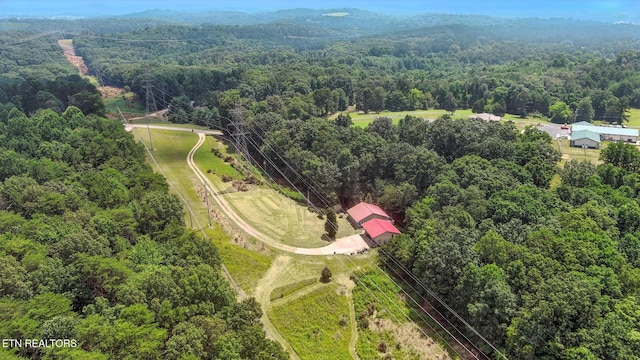 8048 Fairview Rd, Lenoir City, TN 37772 - photo 4