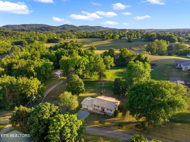 122 Glenwood Ave, Bulls Gap, TN 37711 - photo 4