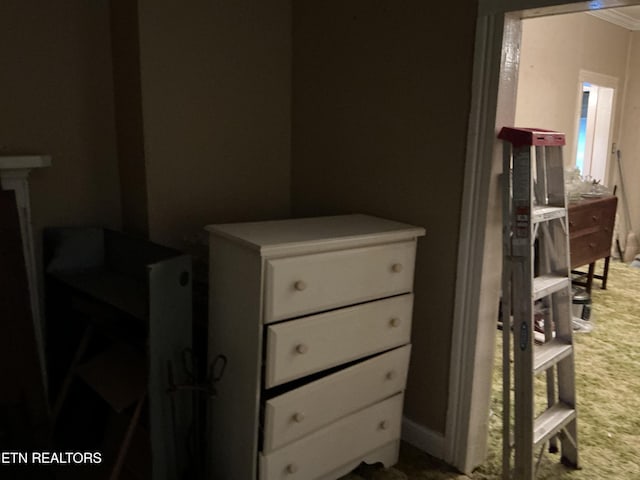 1890 Doaks Creek Rd, Speedwell, TN 37870 - view of carpeted bedroom