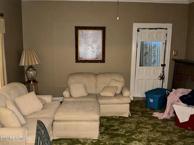 1890 Doaks Creek Rd, Speedwell, TN 37870 - living room with carpet