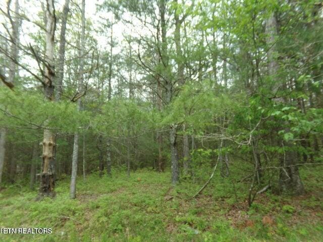 20 Paola Ct, Crossville, TN 38572 - photo 1