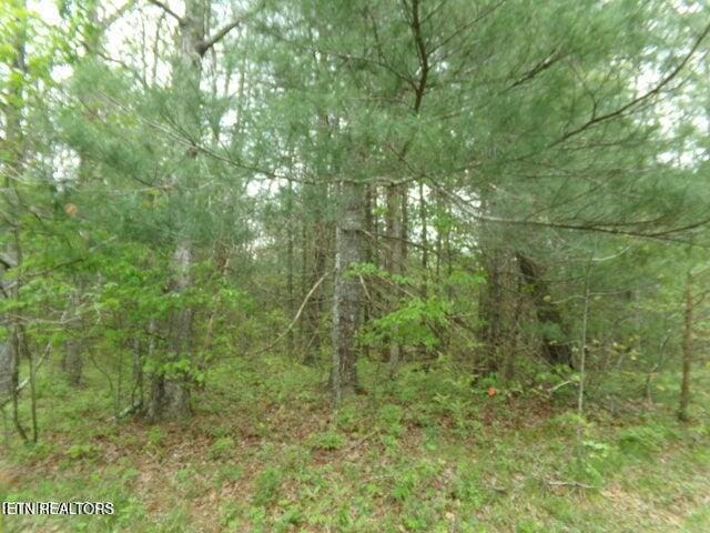 20 Paola Ct, Crossville, TN 38572 - photo 2