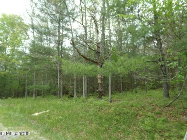 20 Paola Ct, Crossville, TN 38572 - photo 3