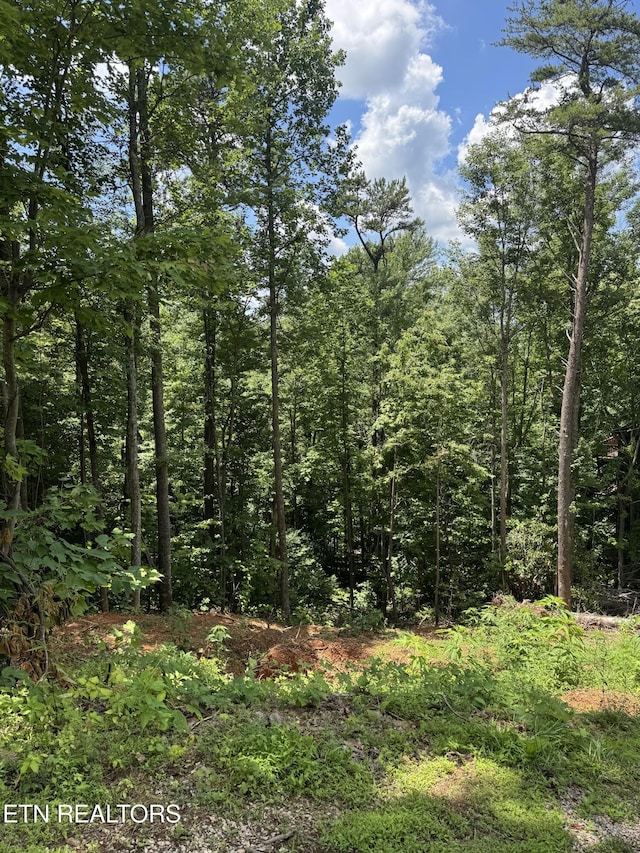 Cherry Vw Ln, Sevierville, TN 37876 - photo 5