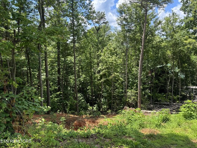 Cherry Vw Ln, Sevierville, TN 37876 - photo 6