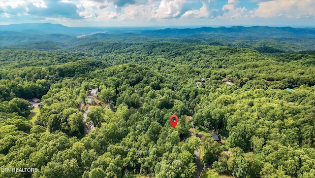 Cherry Vw Ln, Sevierville, TN 37876 - photo 17