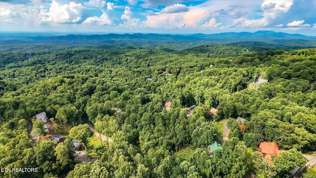 Cherry Vw Ln, Sevierville, TN 37876 - photo 20