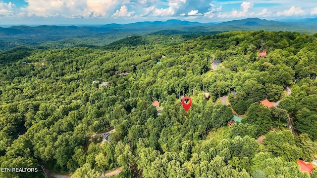 Cherry Vw Ln, Sevierville, TN 37876 - photo 21