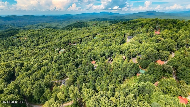 Cherry Vw Ln, Sevierville, TN 37876 - photo 22