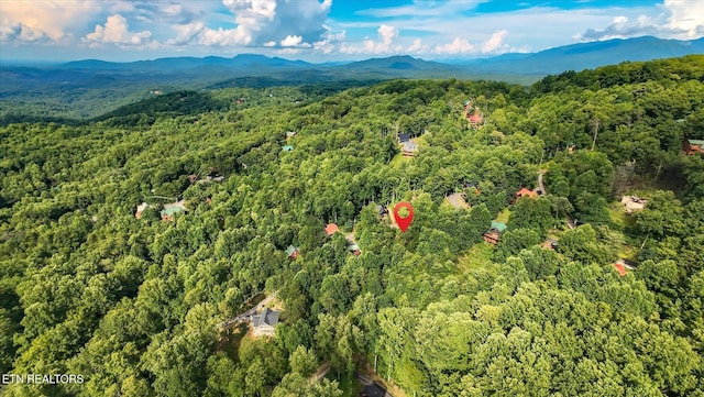 Cherry Vw Ln, Sevierville, TN 37876 - photo 23