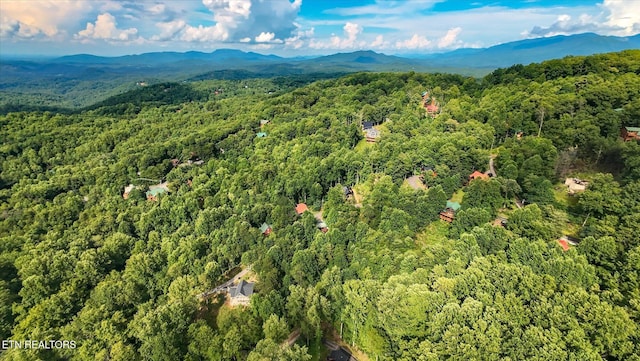 Cherry Vw Ln, Sevierville, TN 37876 - photo 24