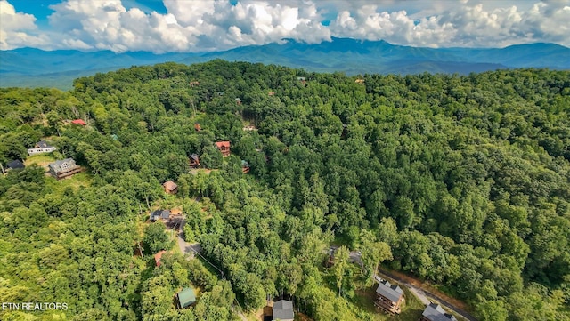 Cherry Vw Ln, Sevierville, TN 37876 - photo 30