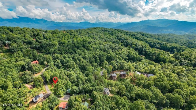 Cherry Vw Ln, Sevierville, TN 37876 - photo 33