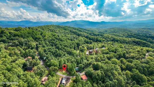 Cherry Vw Ln, Sevierville, TN 37876 - photo 37