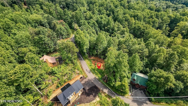 Cherry Vw Ln, Sevierville, TN 37876 - photo 42