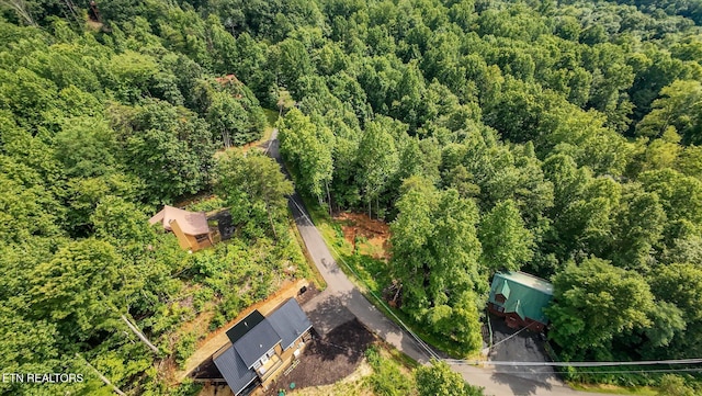 Cherry Vw Ln, Sevierville, TN 37876 - photo 2