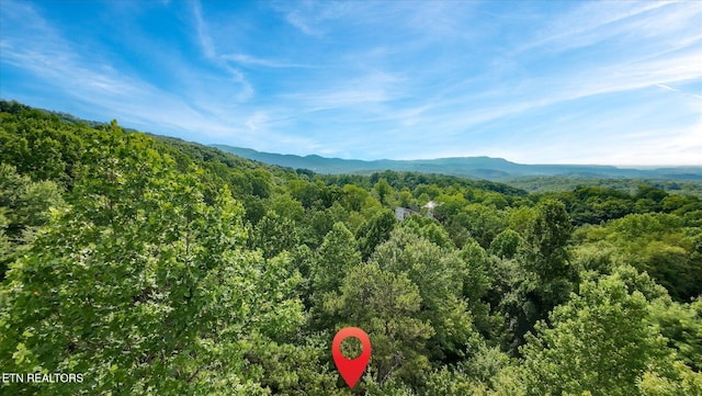 Cherry Vw Ln, Sevierville, TN 37876 - photo 43