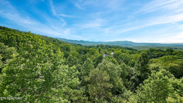 Cherry Vw Ln, Sevierville, TN 37876 - photo 44