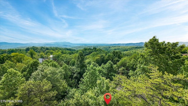 Cherry Vw Ln, Sevierville, TN 37876 - photo 45