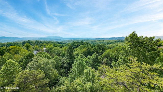 Cherry Vw Ln, Sevierville, TN 37876 - photo 46
