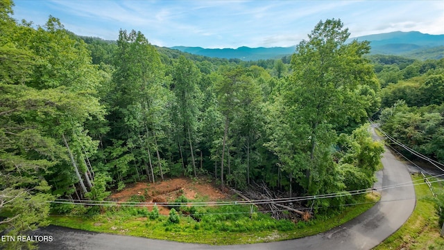 Cherry Vw Ln, Sevierville, TN 37876 - photo 47