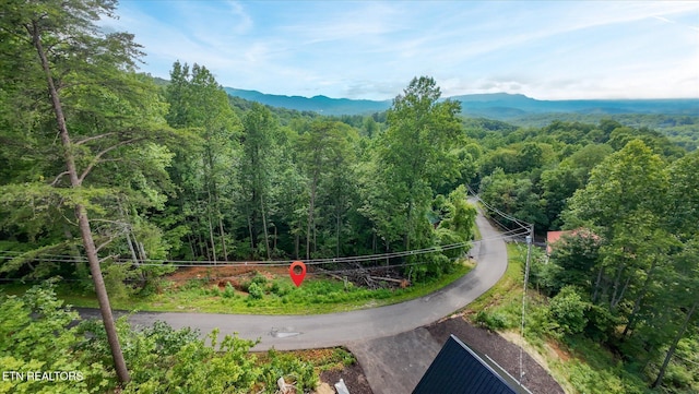 Cherry Vw Ln, Sevierville, TN 37876 - photo 48
