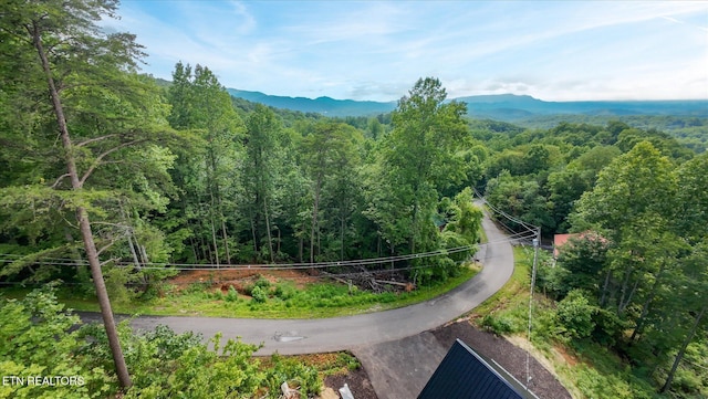 Cherry Vw Ln, Sevierville, TN 37876 - photo 49