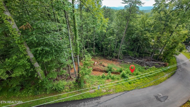 Cherry Vw Ln, Sevierville, TN 37876 - photo 50